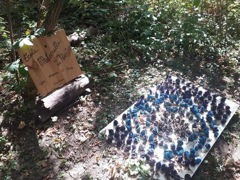 De petites pommes de pin peintes en bleues par les petites et grandes sections d'Andrésy