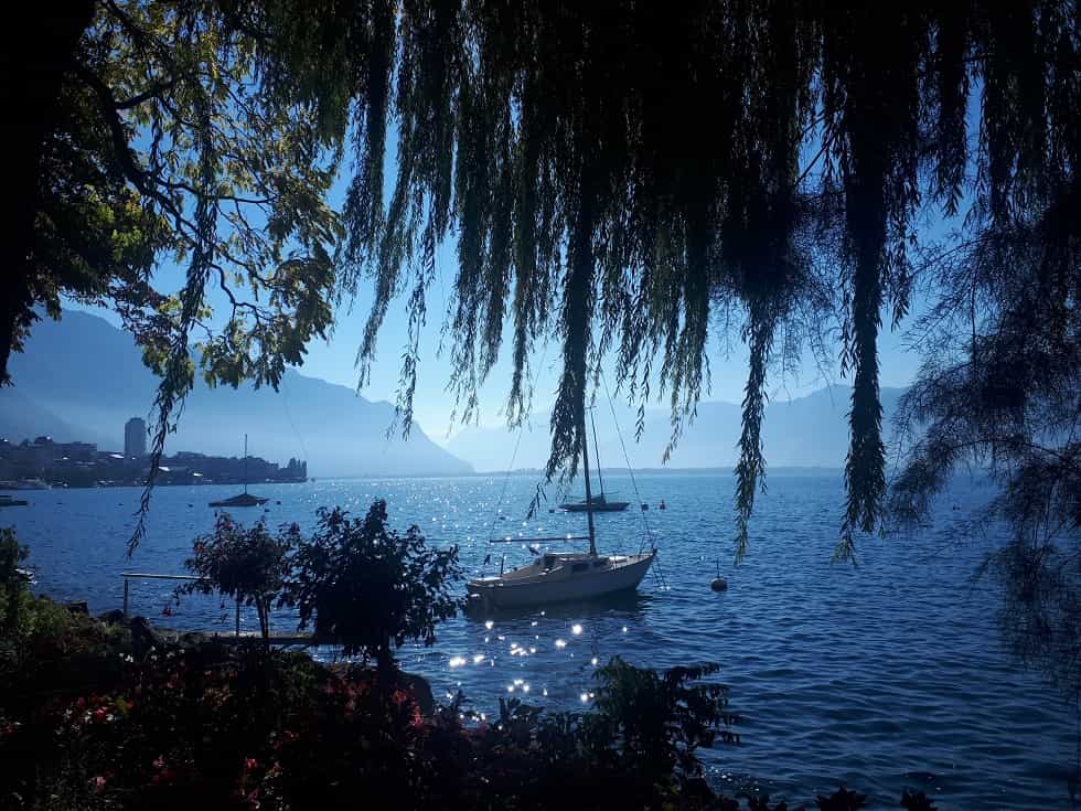 Vue du lac Léman de Montreux