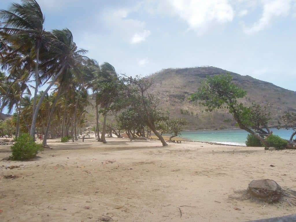 Plage de pompierre sargasses