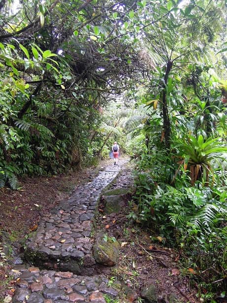 Début du chemin de randonnée de la Soufrière