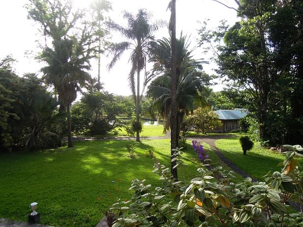 Les Cycas - Hotel Guadeloupe