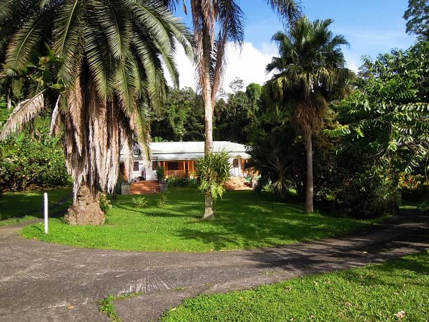 Les Cycas - Hotel Guadeloupe
