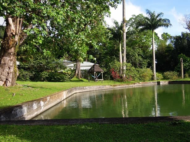 Les Cycas - Hotel Guadeloupe