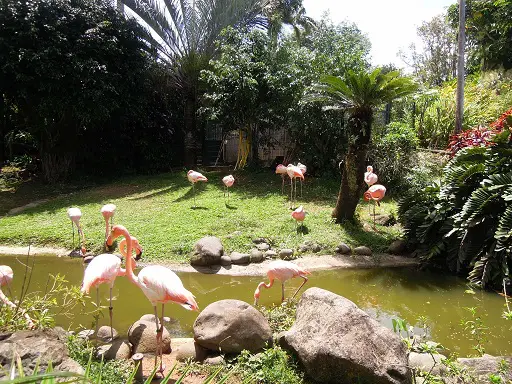 Jardin botanique de Deshaies