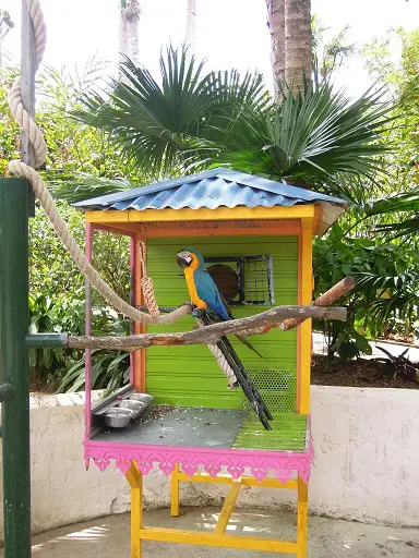 Jardin