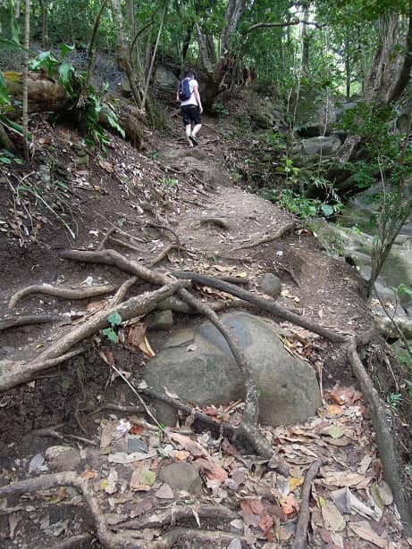Saut d'Acomat guadeloupe