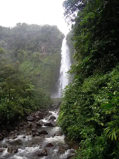 Deuxième chute du Carbet