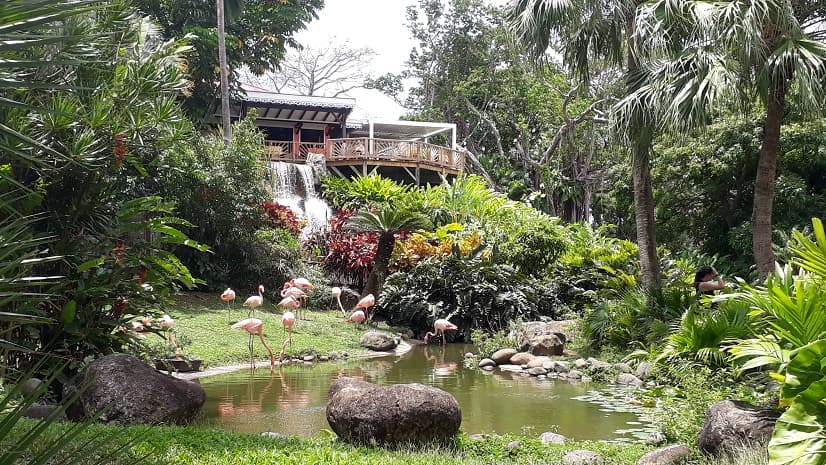 Jardin botanique de Deshaies