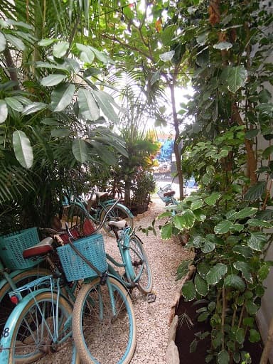 Faire du vélo à Tulum