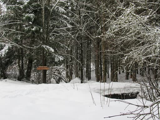 Chemin de l'âne à Brénod