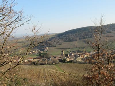 campagne en bourgogne